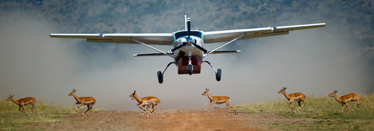 2 Air Safaris.jpg